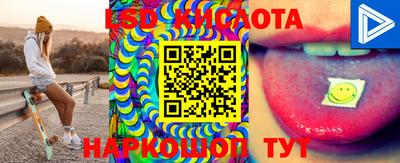 прущие крисы Новодвинск