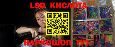 прущие крисы Новодвинск