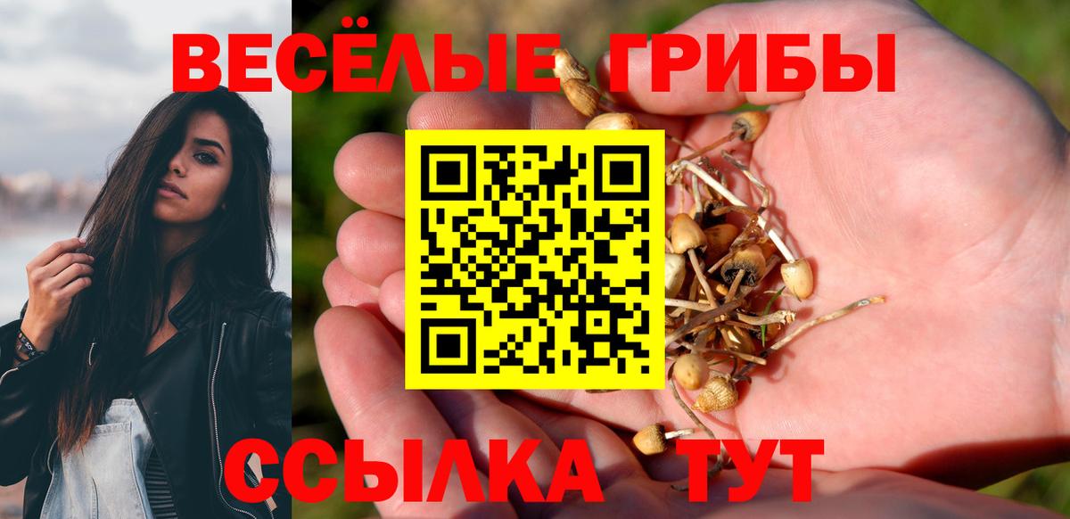 Галлюциногенные грибы Cubensis Новокузнецк
