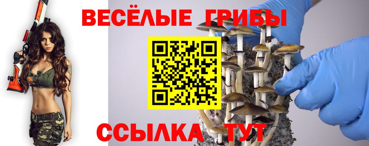 Галлюциногенные грибы ЛСД  Вход с VPN  Новокузнецк  Галлюциногенные грибы мицелий 